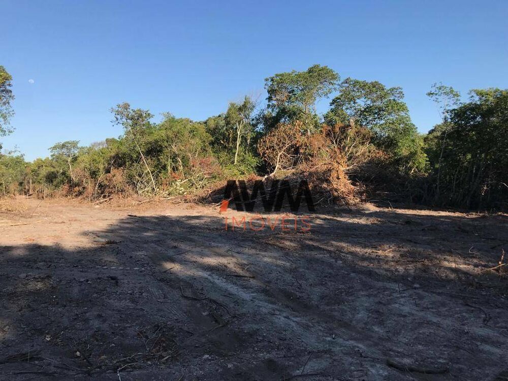 Fazenda, 1036 hectares - Foto 4