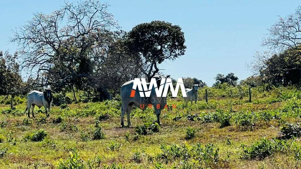 Fazenda, 2033 hectares - Foto 7