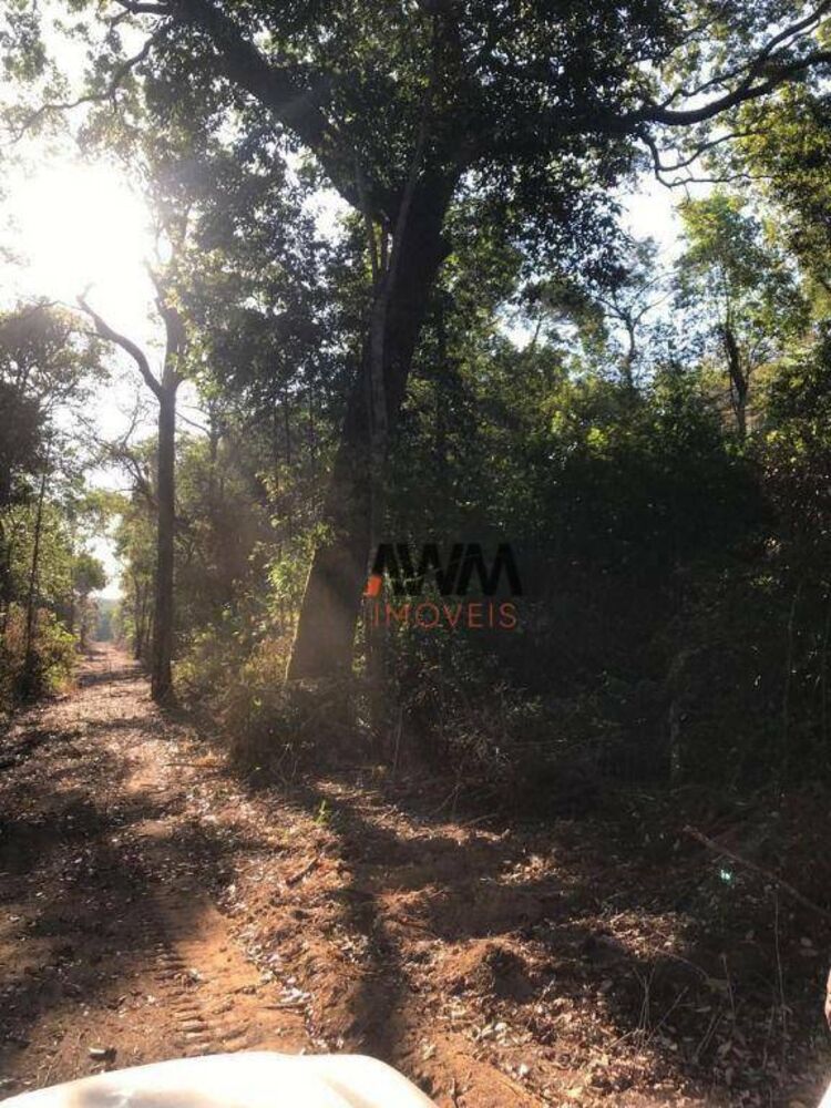 Fazenda, 1036 hectares - Foto 3