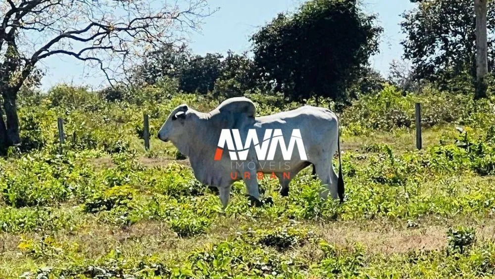 Fazenda, 2033 hectares - Foto 6