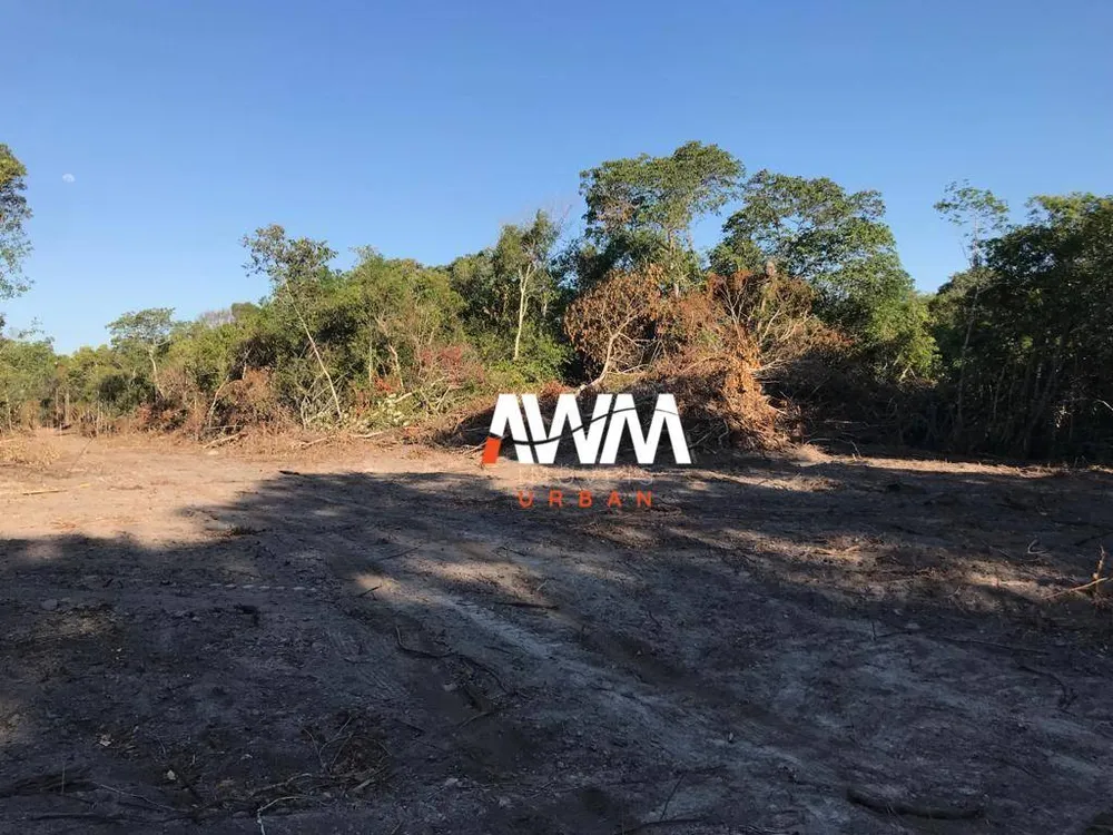 Fazenda, 2033 hectares - Foto 10