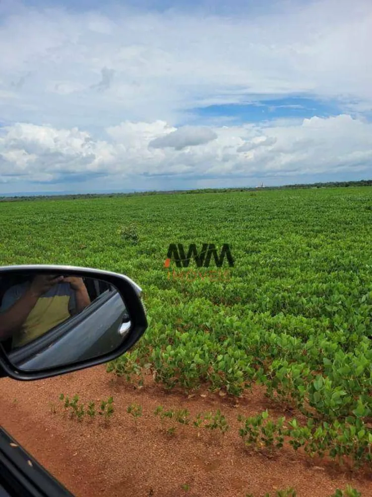 Fazenda, 513 hectares - Foto 9