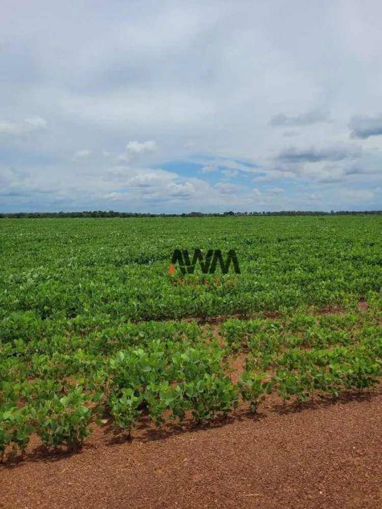 Fazenda, 513 hectares - Foto 7
