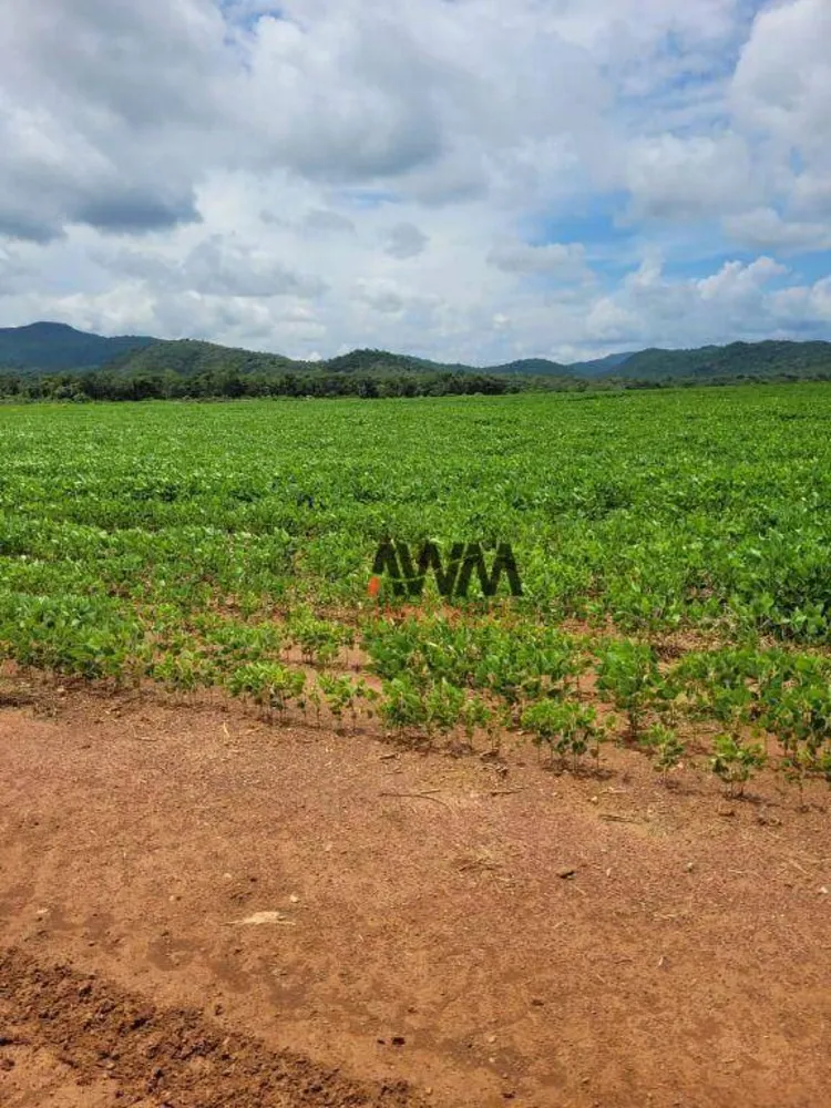 Fazenda, 513 hectares - Foto 3