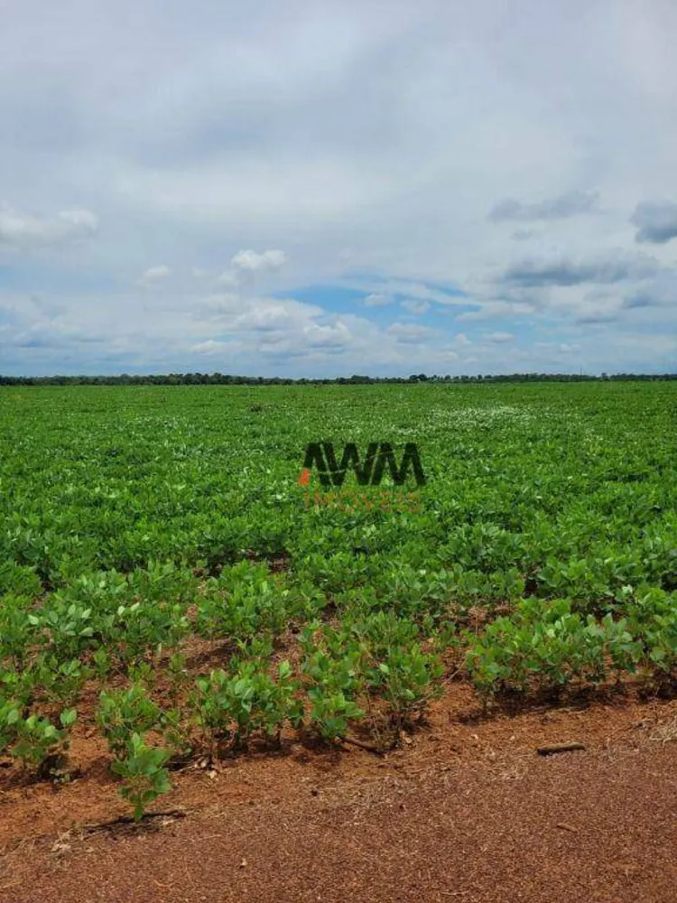 Fazenda, 513 hectares - Foto 8
