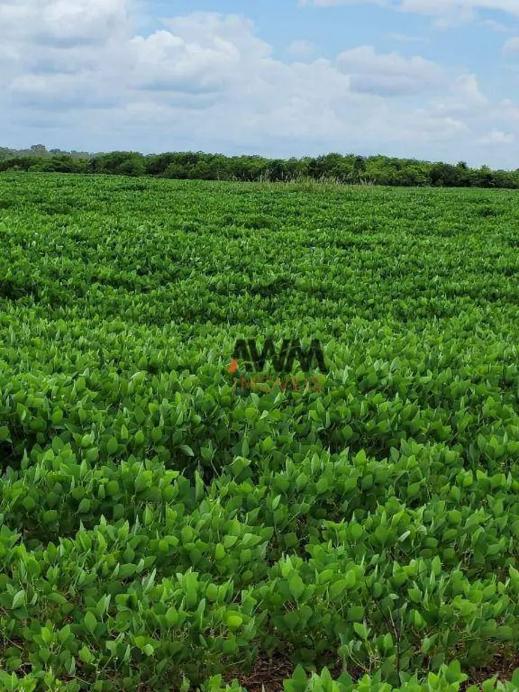 Fazenda, 513 hectares - Foto 1