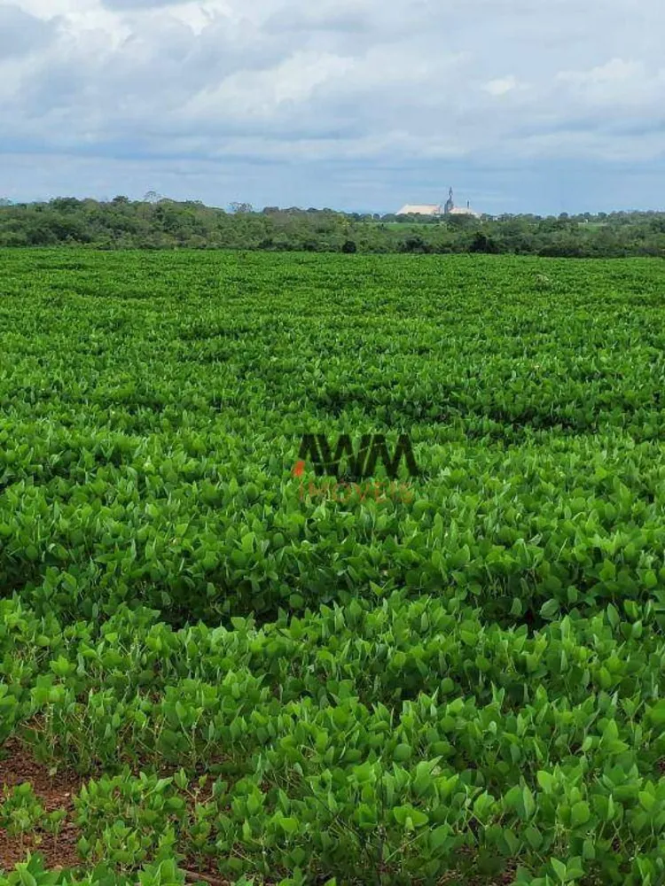 Fazenda, 513 hectares - Foto 4