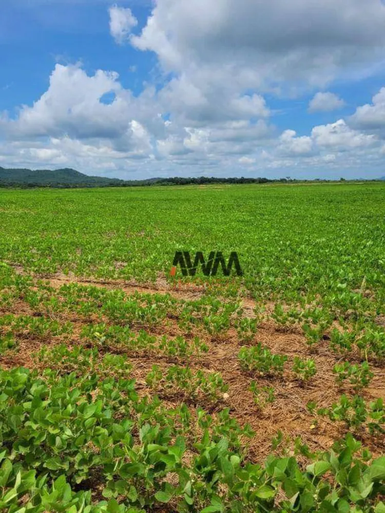 Fazenda, 513 hectares - Foto 2