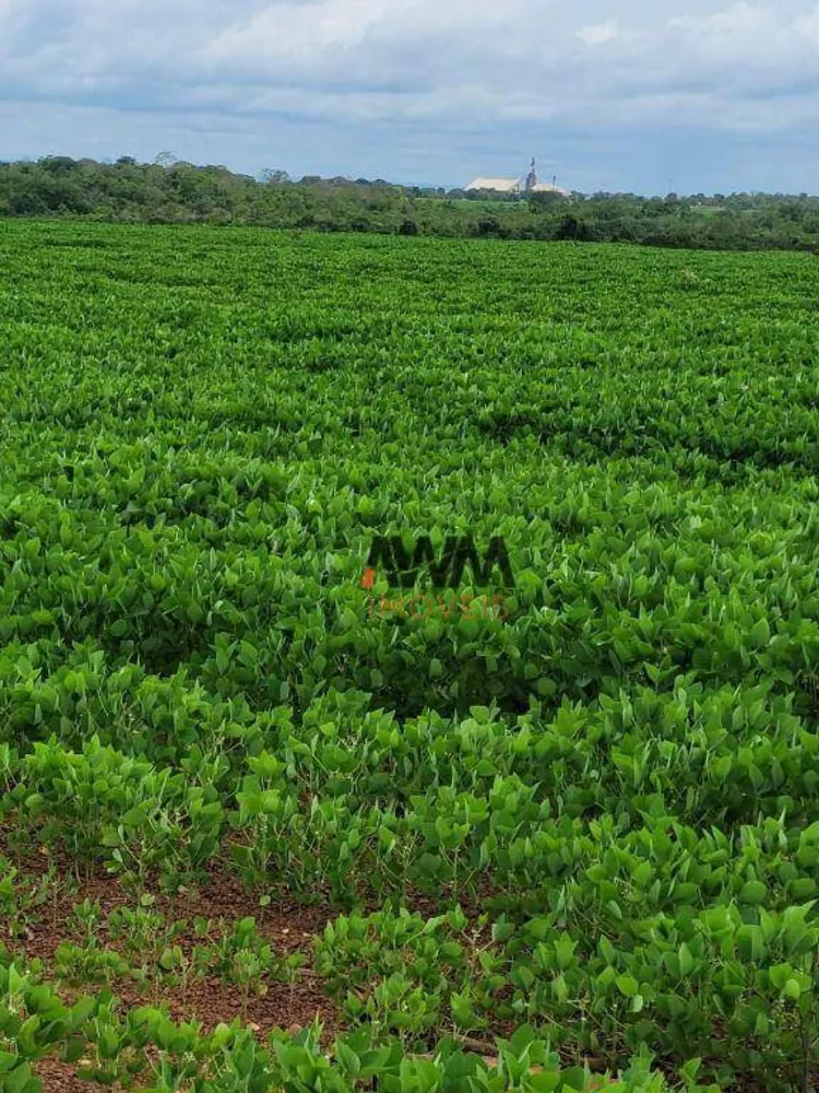 Fazenda, 513 hectares - Foto 10