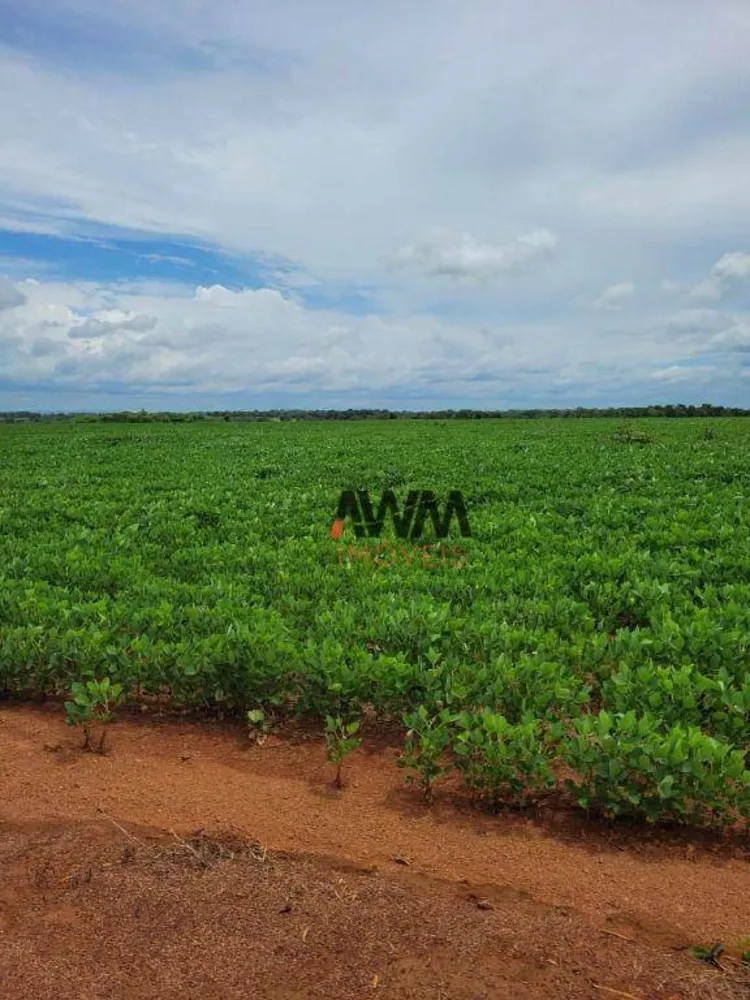 Fazenda, 513 hectares - Foto 6