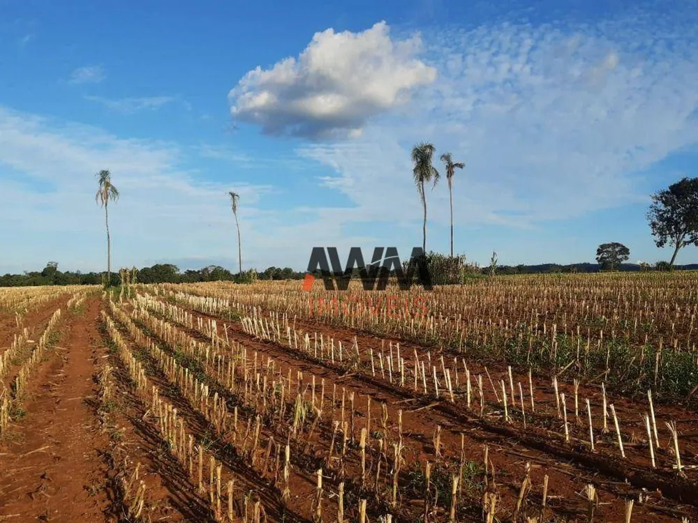 Fazenda, 138 hectares - Foto 8