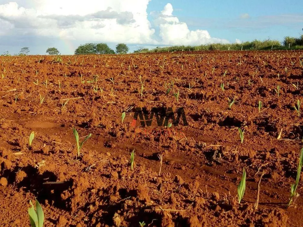 Fazenda, 138 hectares - Foto 3