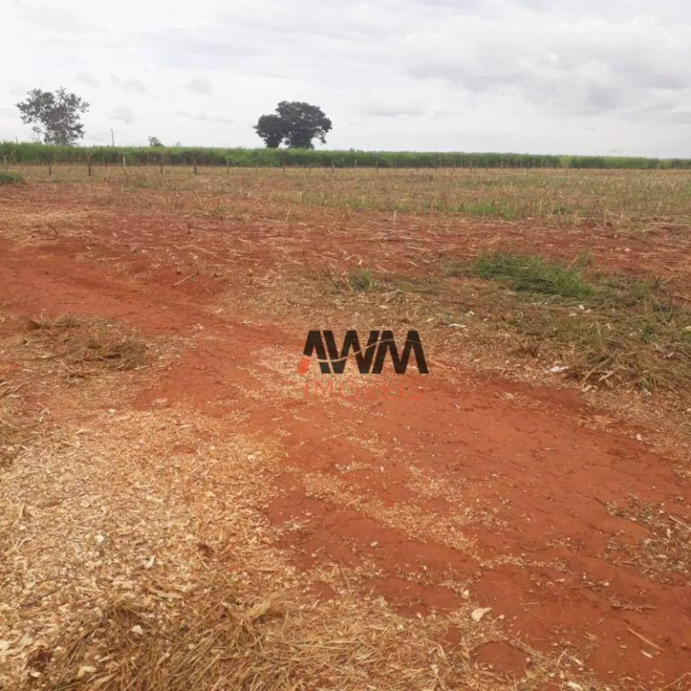 Fazenda, 138 hectares - Foto 4