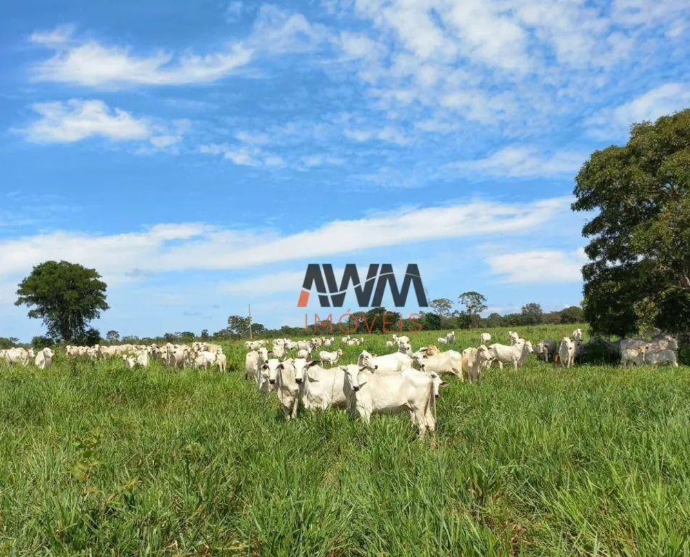 Fazenda, 242 hectares - Foto 6