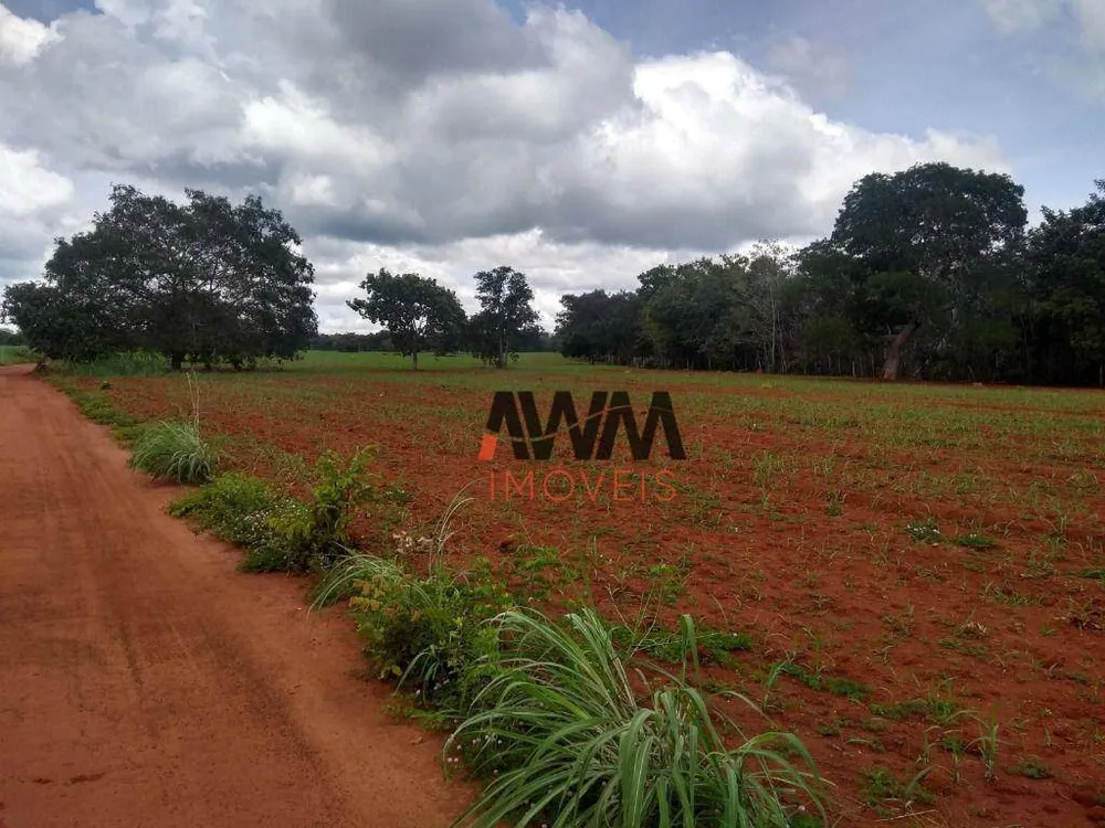 Fazenda, 242 hectares - Foto 1