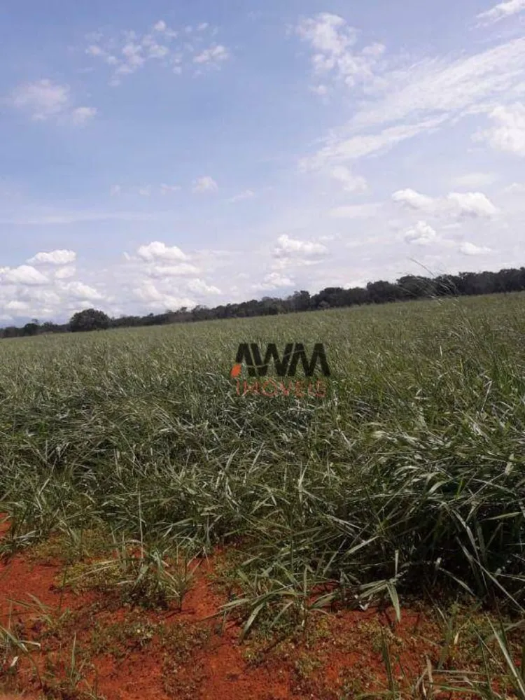 Fazenda, 242 hectares - Foto 2