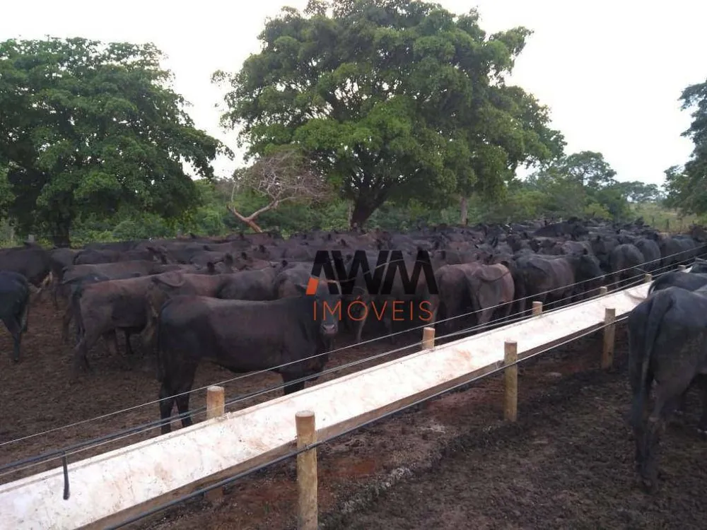 Fazenda, 242 hectares - Foto 10