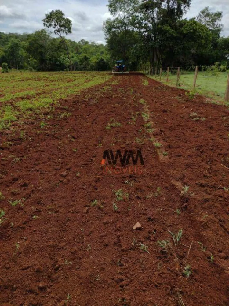 Fazenda, 242 hectares - Foto 9