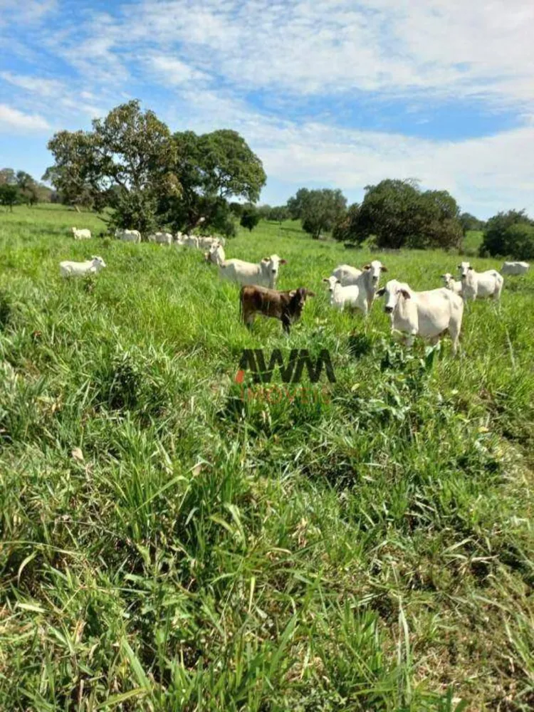 Fazenda, 242 hectares - Foto 8