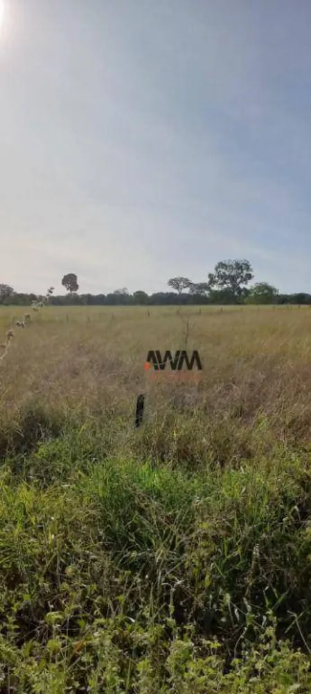 Fazenda, 213 hectares - Foto 10