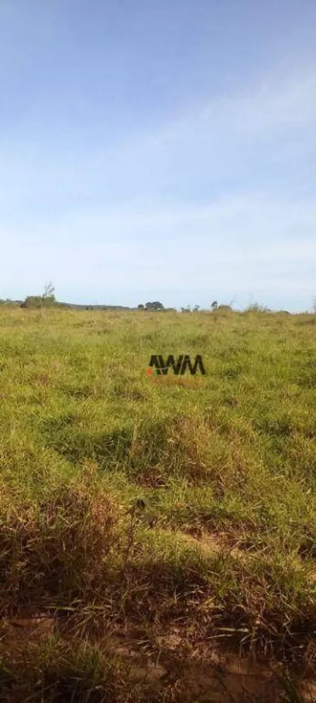 Fazenda, 213 hectares - Foto 9