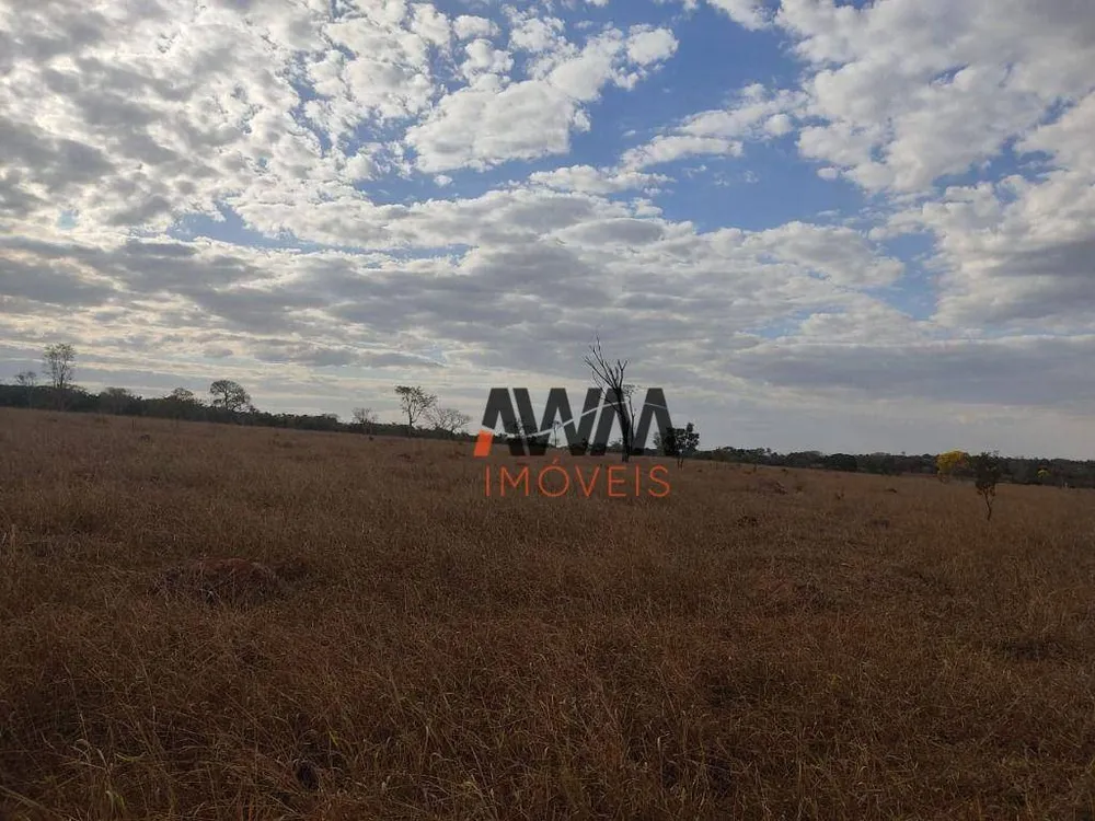 Fazenda, 213 hectares - Foto 11