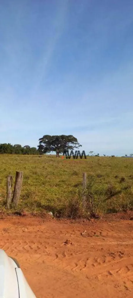 Fazenda, 213 hectares - Foto 6