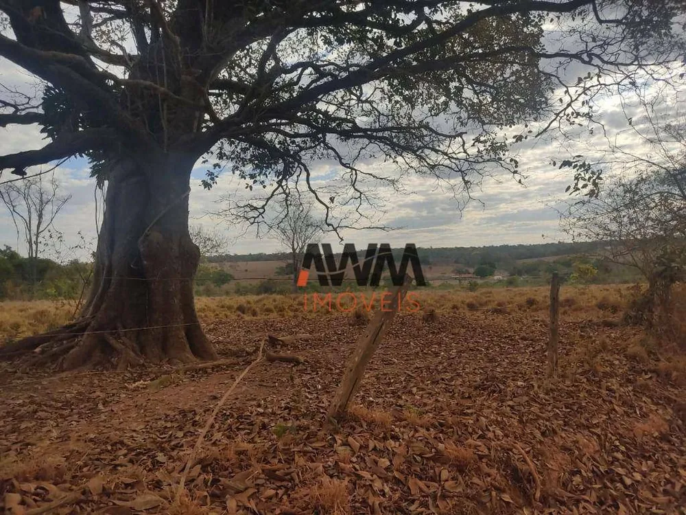 Fazenda, 213 hectares - Foto 7