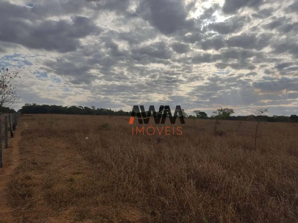 Fazenda, 213 hectares - Foto 4