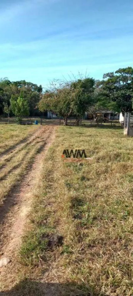 Fazenda, 213 hectares - Foto 15