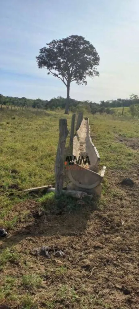 Fazenda, 213 hectares - Foto 12