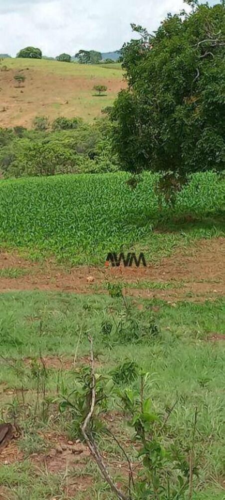 Fazenda à venda, 1887600M2 - Foto 4