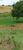 Fazenda, 189 hectares - Foto 4