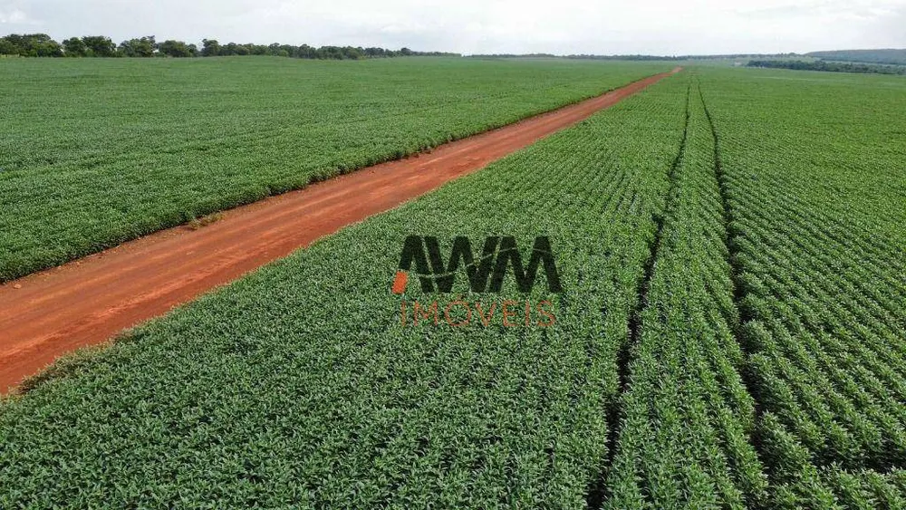 Fazenda, 707 hectares - Foto 1