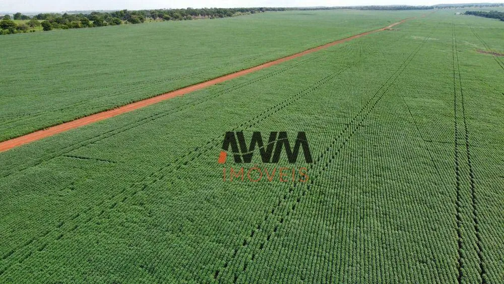 Fazenda, 707 hectares - Foto 9