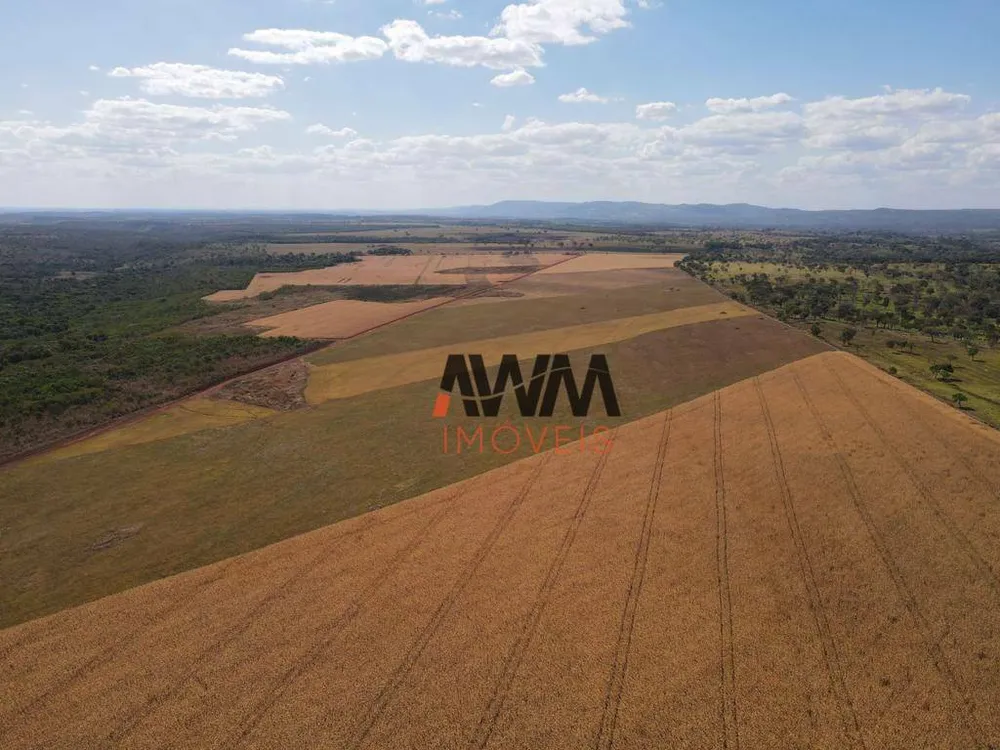 Fazenda, 707 hectares - Foto 6