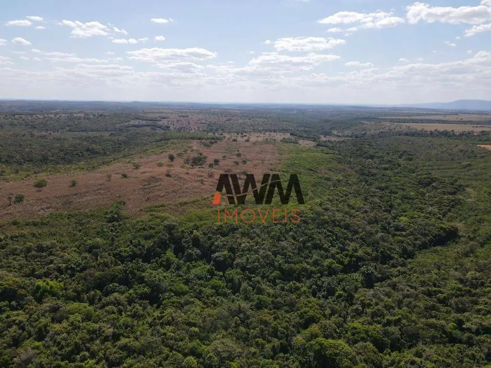 Fazenda, 707 hectares - Foto 11