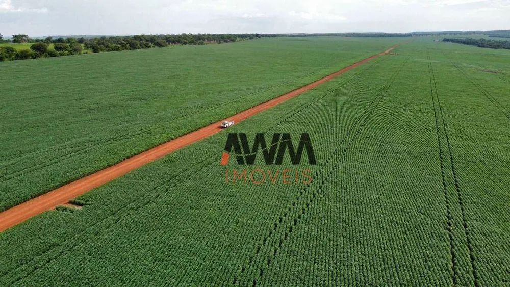 Fazenda, 707 hectares - Foto 11