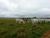 Fazenda, 2 hectares - Foto 1
