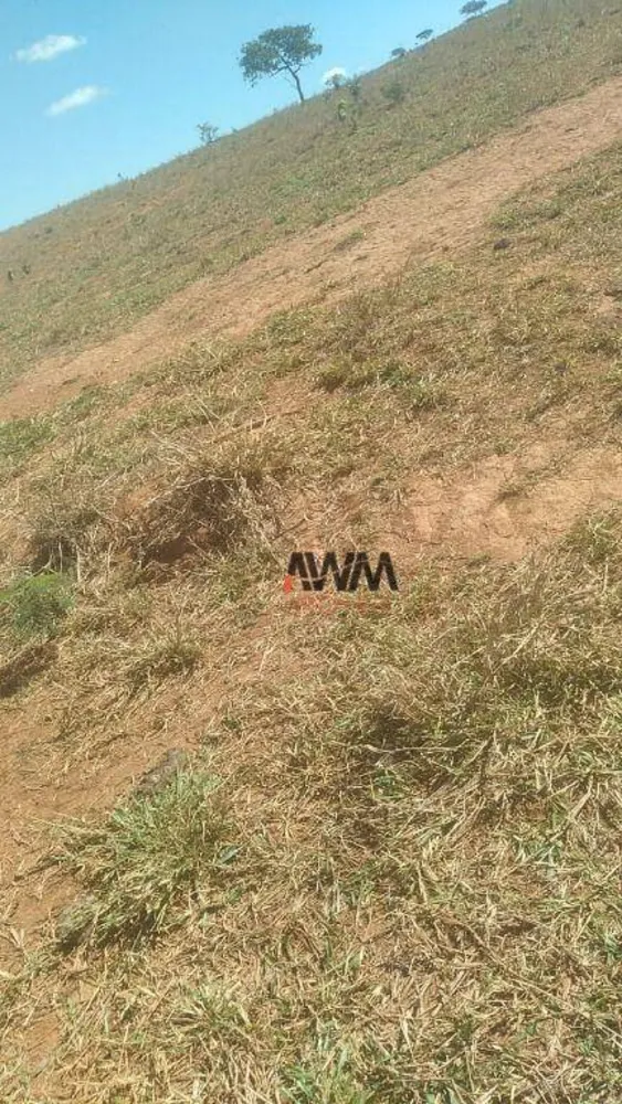 Fazenda, 454 hectares - Foto 12