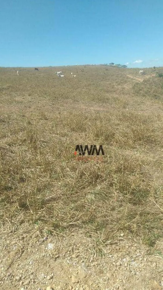 Fazenda, 454 hectares - Foto 14