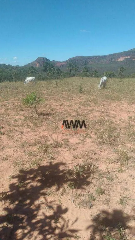 Fazenda, 454 hectares - Foto 3