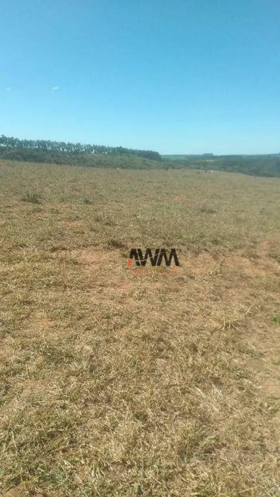 Fazenda, 454 hectares - Foto 6