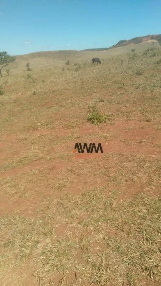 Fazenda, 454 hectares - Foto 9