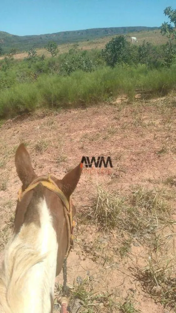 Fazenda, 454 hectares - Foto 11