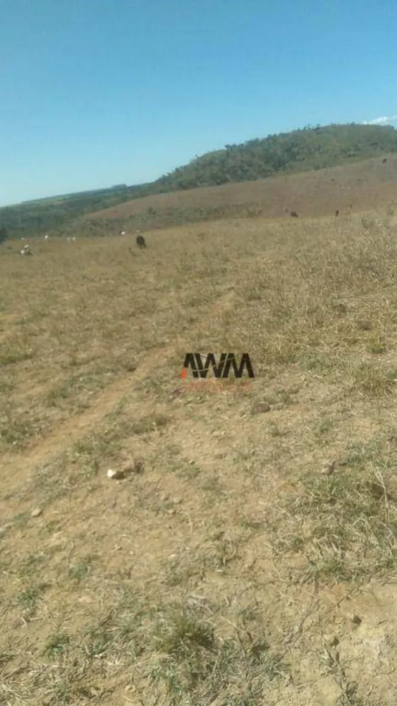 Fazenda, 454 hectares - Foto 5