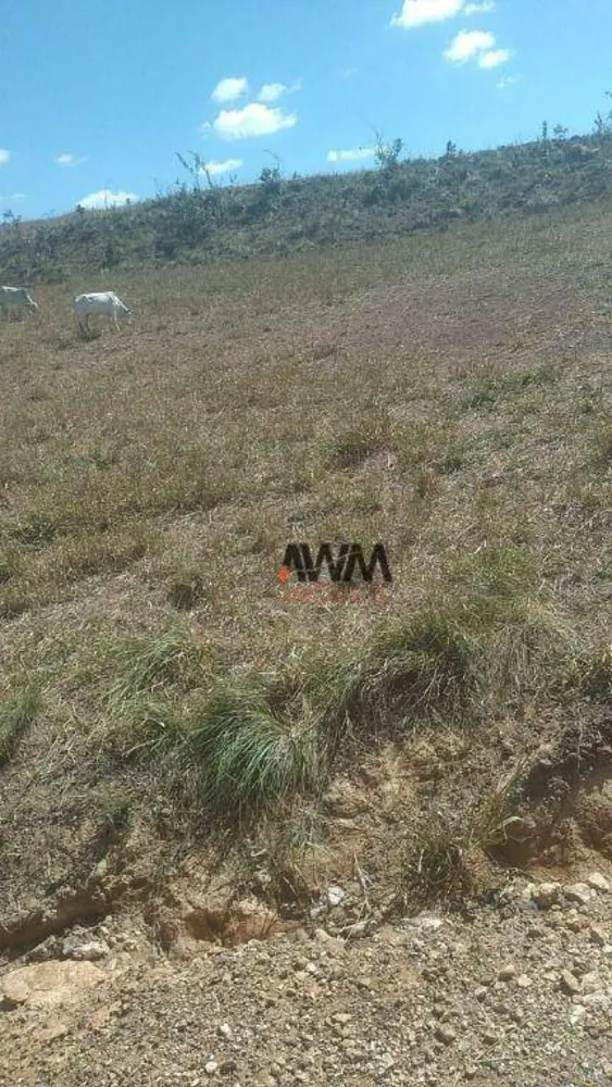 Fazenda, 454 hectares - Foto 8