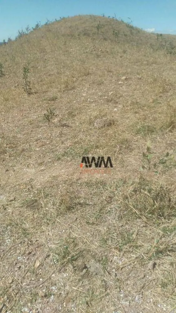 Fazenda, 454 hectares - Foto 10