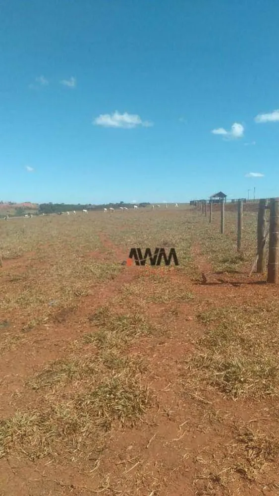 Fazenda, 454 hectares - Foto 4