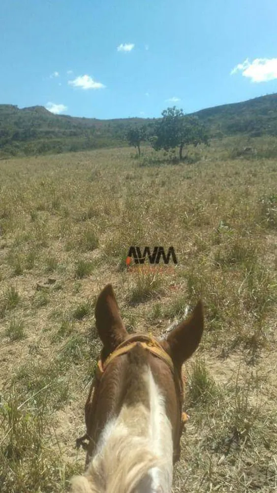 Fazenda, 454 hectares - Foto 7